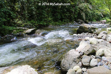 river near to Lupa Masa Jungle Camp