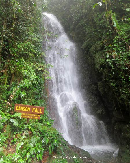 Carson Waterfall