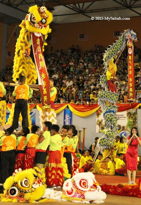 lion and dragon climb high to display scrolls with auspicious words