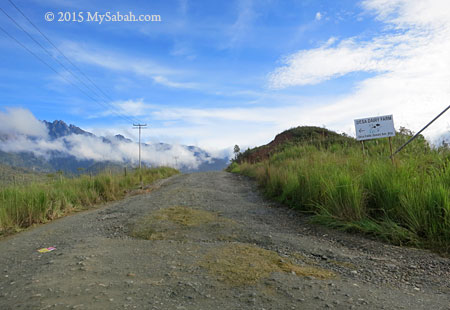 junction to Desa Dairy Farm