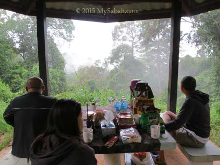 breakfast in the forest