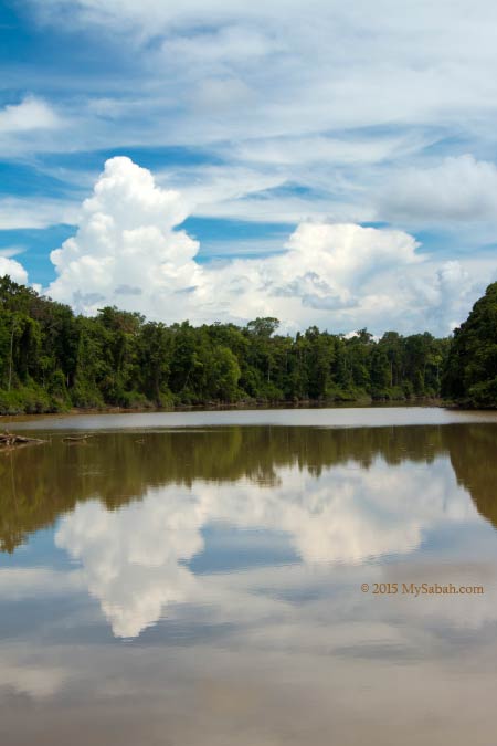 cloud reflection on Tanjung Bulat Oxbow Lake