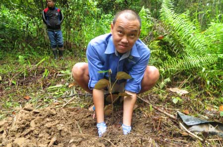 planting a tree