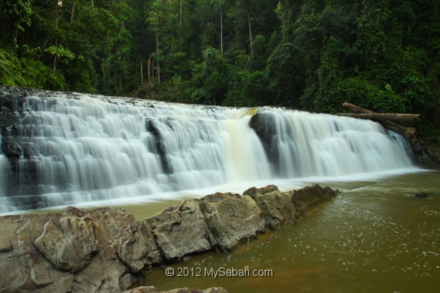 imbak-canyon-bmg_0320.jpg