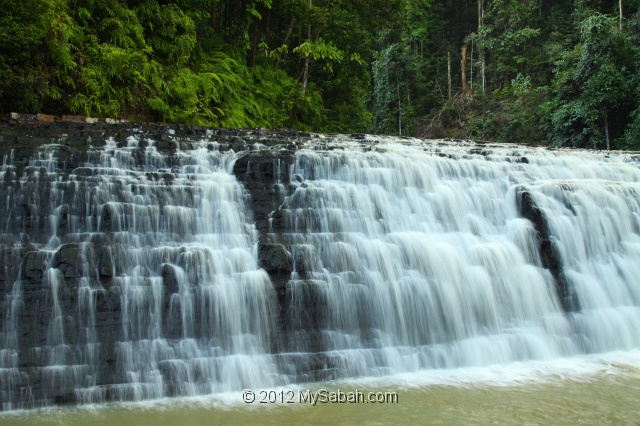 imbak-canyon-bmg_0330.jpg