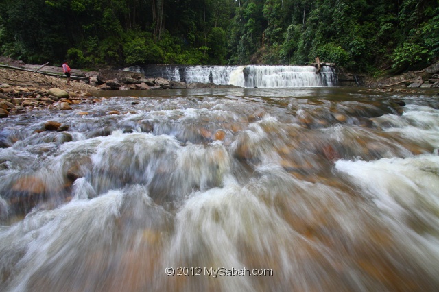 imbak-canyon-bmg_0456.jpg