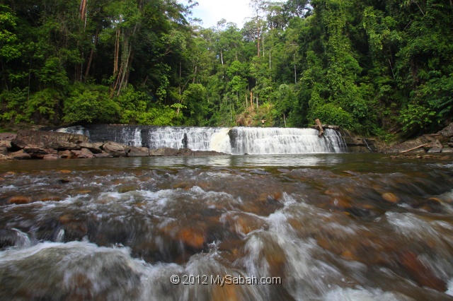 imbak-canyon-bmg_0528.jpg