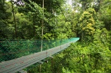 imbak-canyon-img_0565