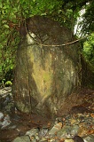 minitinduk-gorge-img_3505