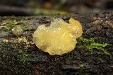 minitinduk-gorge-img_3780