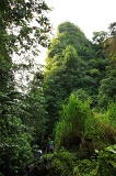 minitinduk-gorge-img_3808