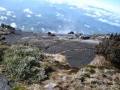 mount-kinabalu-asc01199 Kekayaan dan Kepelbagaian Bio-Diversiti Gunung Kinabalu