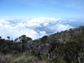 mount-kinabalu-asc01236 Kekayaan dan Kepelbagaian Bio-Diversiti Gunung Kinabalu