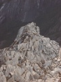 mount-kinabalu-csc01045 Kekayaan dan Kepelbagaian Bio-Diversiti Gunung Kinabalu