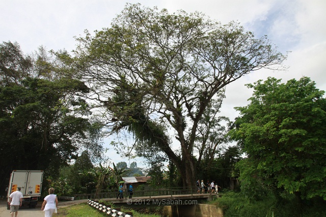 north-borneo-railway-img_0649.jpg