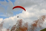 paragliding-img_7138