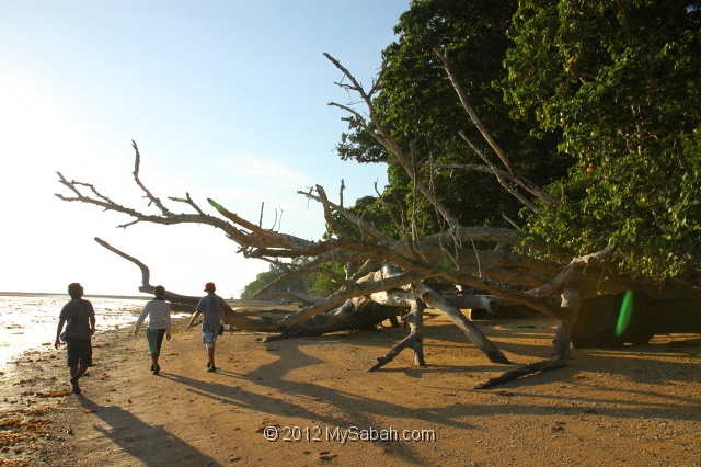 pulau-tiga-kmg_8495.jpg