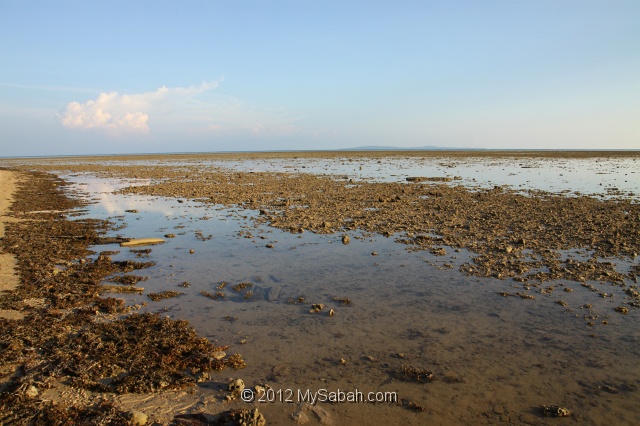 pulau-tiga-kmg_8500.jpg