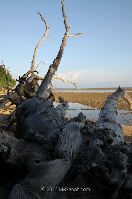 pulau-tiga-kmg_8520.jpg