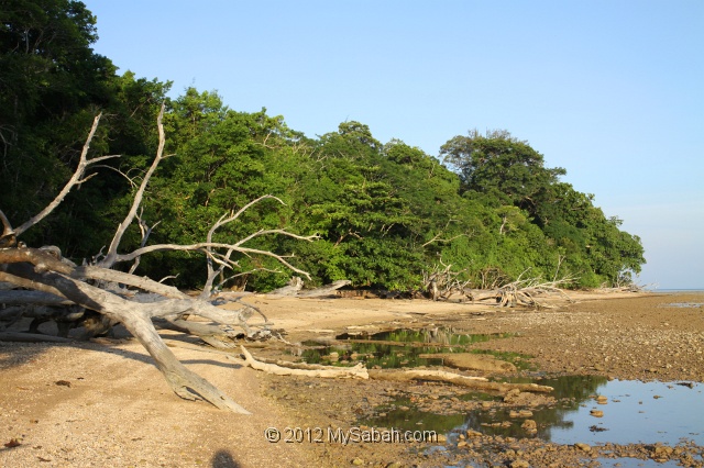 pulau-tiga-kmg_8525.jpg