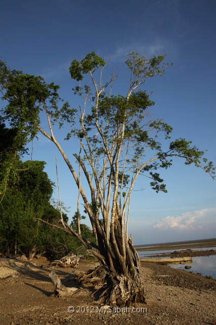 pulau-tiga-kmg_8530.jpg