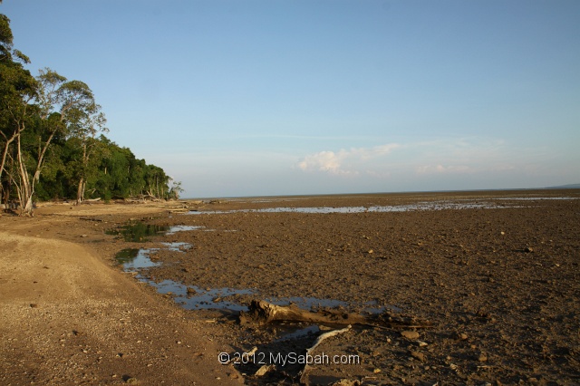 pulau-tiga-kmg_8533.jpg