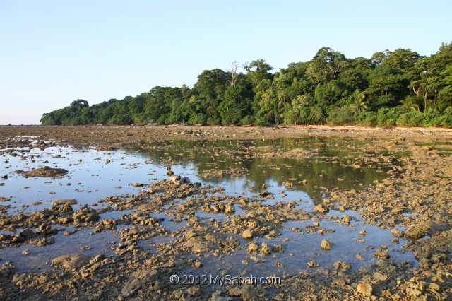 pulau-tiga-kmg_8537.jpg