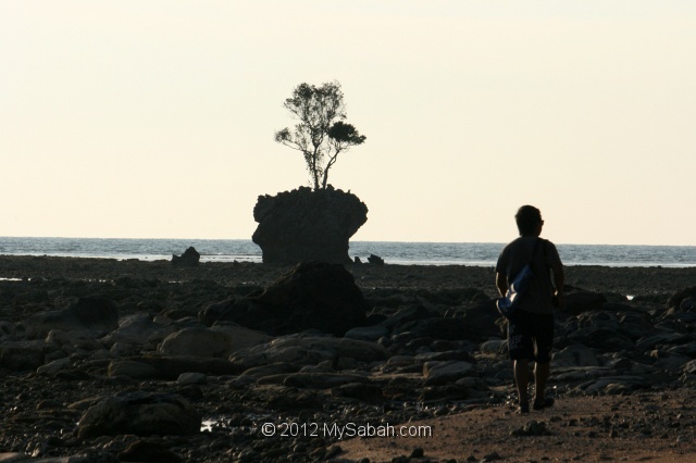 pulau-tiga-kmh_7484.jpg