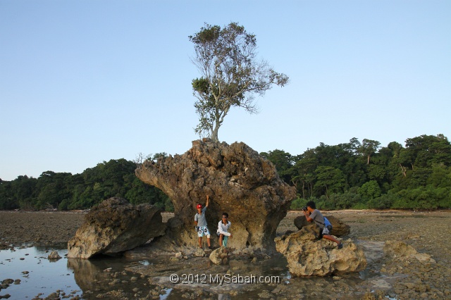 pulau-tiga-kng_8546.jpg