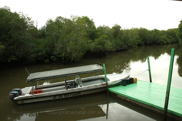 sepilok-mangrove-o_9364.jpg