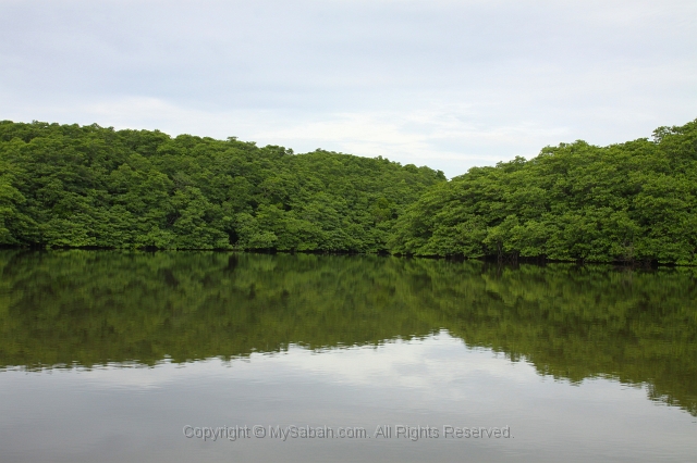 sepilok-mangrove-o_9410.jpg