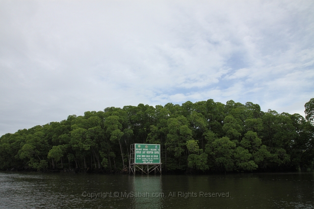sepilok-mangrove-o_9435.jpg