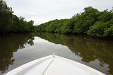 sepilok-mangrove-o_9387