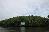 sepilok-mangrove-o_9435
