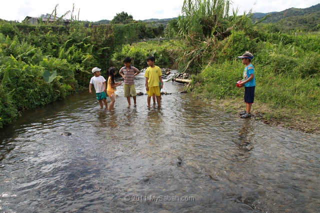 tambunan-img_8062.jpg