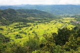 tambunan-img_7950