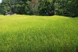 tambunan-img_8096