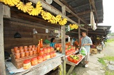 tambunan-img_8327