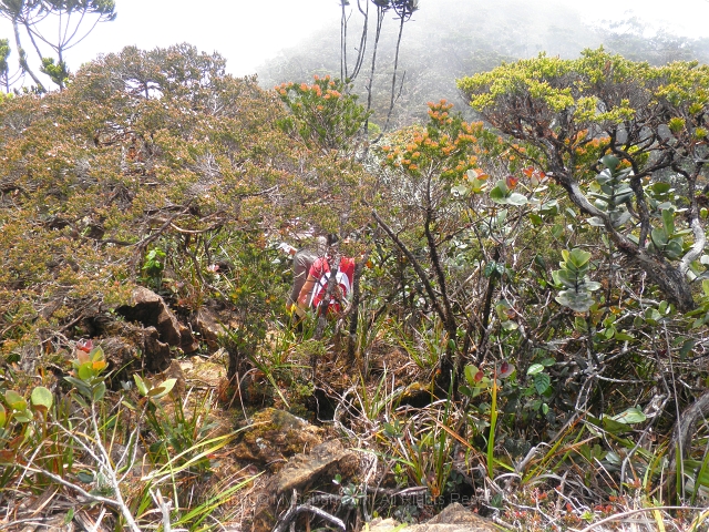 tambuyukon-km14c_0233.jpg