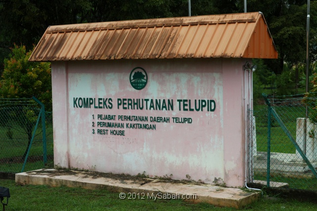 telupid-ang_9319.jpg