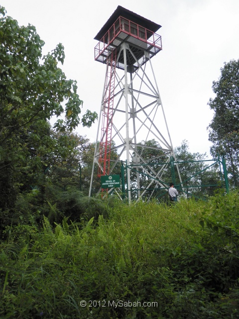 telupid-em0_7050038.jpg