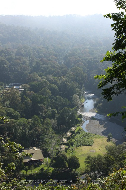 danum-valley-img_6743.jpg