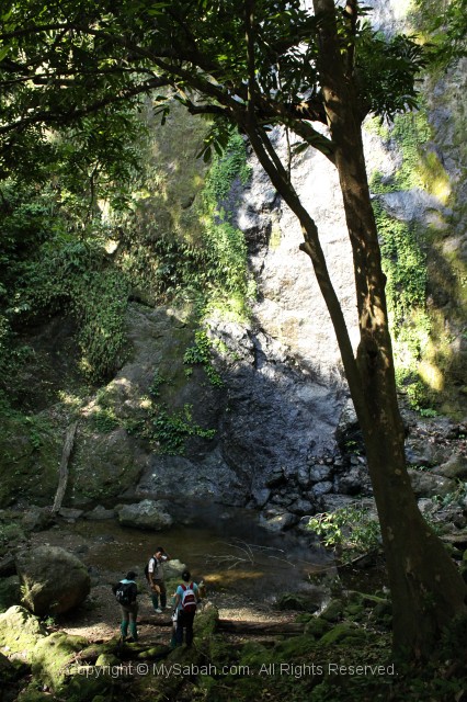 danum-valley-img_6780.jpg