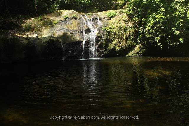 danum-valley-img_6857.jpg