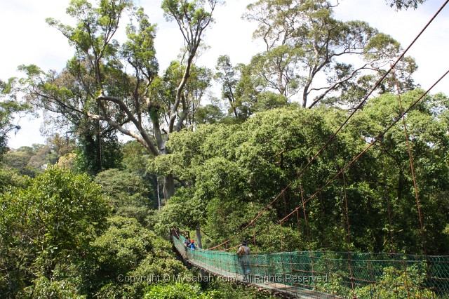 danum-valley-img_6882.jpg