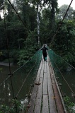 danum-valley-img_6641