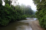 danum-valley-img_6646