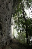 danum-valley-img_6691