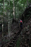 danum-valley-img_6730