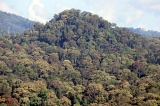 danum-valley-img_6738-6180a